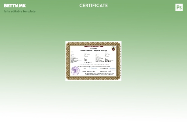 модерен стил Колумбија венчаница Шаблон Word и PDF